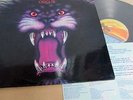 Circus-In the Arena (Very rare 1977 South African prog rock on Sunshine Records)