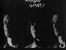 LP Vinyl Young Marble Giants, Colossal Youth, 1st Press. New Wave 1980 1970-79
