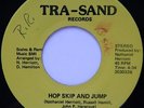 Rare Sweet Soul / Modern Soul 45 - Nightchill - Hop Skip And Jump - TRA-SAND mp3