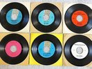 Set of 6 Classic Pre Grunge Pacific NW 7” Vinyl Records SONICS BARDS Jerden RARE