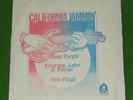 DEEP PURPLE PINK FLOYD EMERSON LAKE & PALMER/ CALIFORNIA JAMMIN'
