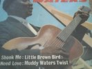 Muddy Waters - Muddy Waters   EP