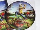 Iron Maiden 'The Evil In Florida' FC Rel Pic LP Picture Disc Vinyl w Cover NM/NM
