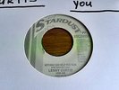 LENNY CURTIS     **   Nothing Can Help You Now   **    STARDUST    HARD TO FIND