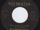 PLATINUM PLUS : why must we part     VERY RARE MODERN SOUL