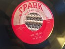 The Sly Fox - Hoo - Doo Say * Orig Spark 45 R&B Blues Rare