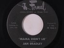 JAN BRADLEY: Mama Didn't Lie / Lovers Like Me 45 Soul