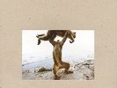 SHELLAC Dude Incredible VINYL LP RECORD Brand New