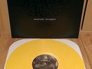 IRON AGE Constant Struggle LP 1st press RAR sxe expire no warning backtrack nyhc