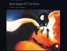Morton Subotnick / Silver Apples Of The Moon - Vinyl LP