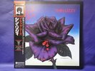 Thin Lizzy Black Rose 