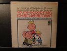 AN ORIGINAL MGM ALBUM MUSICAL 