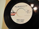 Harvey Scales-Don't You Ever Let It End/The Sound Of Soul-Northern Soul 45