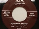 PAT THE CAT & KITTENS little rock special 45 BSD -WILD rockabilly rocker- HEAR