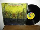 AMERICAN BLUES - DO THEIR THING (ZZ TOP) RARE PSYCH - PRESSING FLAW