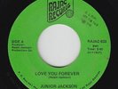 Modern Soul Boogie 45 - Junior Jackson - Love You Forever - Rajac - mp3