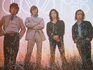 Doors, The - Waiting For The Sun LP [180g Reissue Rhino Vinyl 2009]