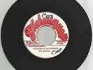 THE INTERNS / NOTHING IS IMPOSSIBLE / VERSION THE HARDY BOYS / 7''/ NM