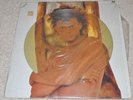 Luis Miguel LP Record Album Busca Una Mujer Picture Disk IMPORT Mexico Separados
