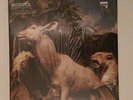 Our Love to Admire by Interpol (Vinyl, Jul-2007, Capitol) LP
