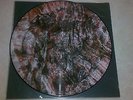Death In June  The wall of Sacrifice LP Vinyl Picture Disc