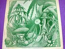RARE 1970 Hippie Psychedelic Garage Band FLEXI RECORD American University Book