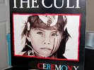 THE CULT.  