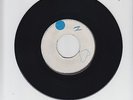 BLANK/JAVA  -  AUGUSTUS PABLO   (70 REGGAE INSTRUMENTAL  7