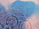 Pink Floyd-Meddle LP 1971 Harvest US VG+/VG+