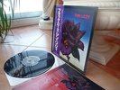 Thin Lizzy