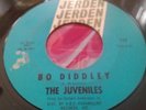Wild Garage Punk Fuzz Frat Dancer 45 The Juveniles Bo Diddley JERDEN LISTEN