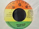 Rising Son Jah Jah Robe Killer Roots 7