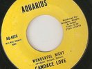 CANDACE LOVE Wonderful Night AQUARIUS DETROIT  NORTHERN SOUL 45