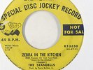 Garage 45   Standells   Zebra In The Kitchen   MGM   mp3 promo