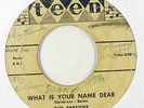 Doo Wop 45   Ebbtides   What Is Your Name Dear   Teen   mp3 rare