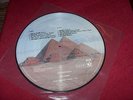 Pink Floyd:  Dark Side of the Moon SPAIN RARE  LP   PICTURE DISC