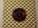 Rare Reggae - Israel Vibration - The Same Song - Demo Copy - Harvest Records
