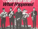Sg   -    THE SHAKE SPEARS   -  SUMMERTIME   -  rote Ariola