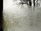 BON IVER For Emma Forever Ago UK vinyl LP + insert UNPLAYED 4AD