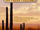 Various-Country Southern Feelings UK 2-LP vinyl record (Double Album) DJD28037