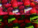 OH SEES 'Floating Coffin LP ty segall fuzz white fence bare wires mikal cronin 7