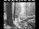 And The Forests Dream Eternally [VINYL] Behemoth Vinyl