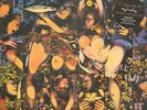 THE TRAGICALLY HIP - Fully completely    LP+download+Poster      NEU 