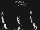 YOUNG MARBLE GIANTS Colossal youth 1980 12
