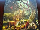 Loreena McKennitt A Midwinter Night's Dream Limited Edition Hand Signed LP 180gm