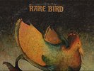 EXCELLENT ORIGINAL 1ST PRESS Rare Bird SELF TITLE DEBUT VINYL LP 1969 SYMPATHY