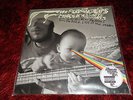 THE FLAMING LIPS - DARK SIDE OF THE MOON vinyl LP, NEW SEALED Free P&P