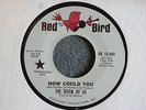 The Seven Of Us How Could You / The Way To Your Heart Red Bird 10069 Pre NRBQ