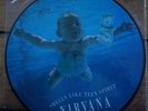 Nirvana Picture Disk Smells Like Teen Spirit 12