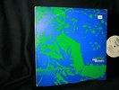 FRED McDOWELL My Home Is In The Delta LP NM BLUES 1964 TESTAMENT T-2208